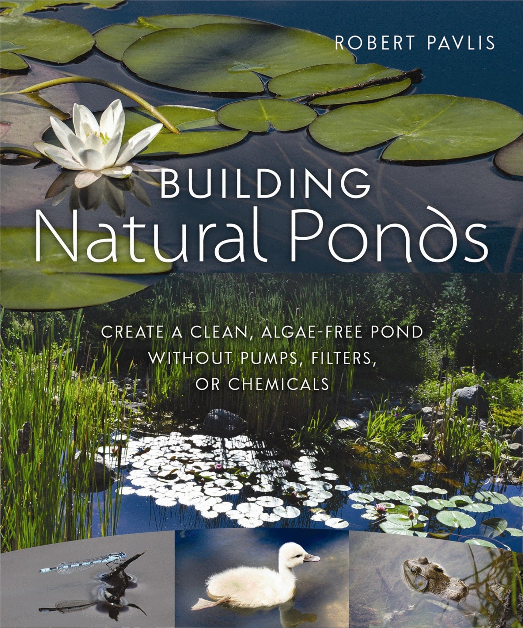Cover image for Building Natural Ponds ISBN 9780865718456